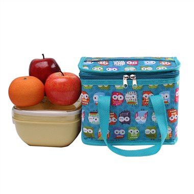 چھوٹا پیارا پولیسٹر دوپہر کا کھانا بیگ